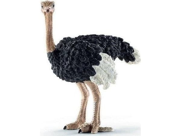 Collecta struts L 88459