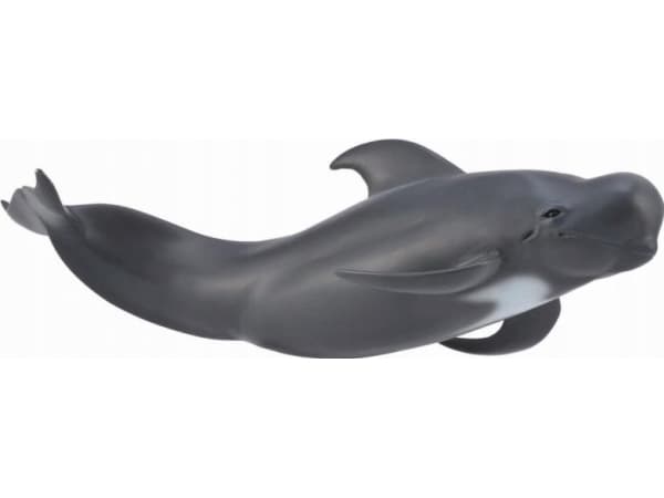 COLLECTA VALPILOT