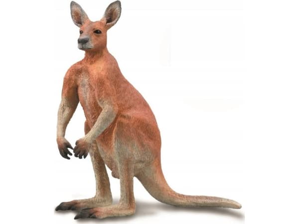 Figurka Collecta COLLECTA CZERWONY KANGUR SAMIEC