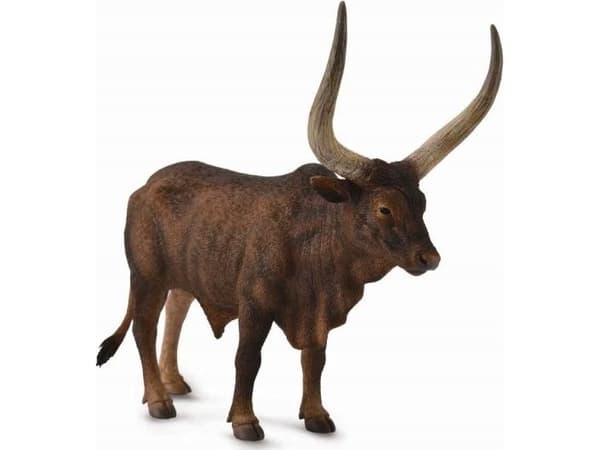 COLLECTA BULL ANKOLE-WATUSI