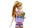 Miniatyrbild 3 av 5: Barbie Mattel Campingdocka - Stacie och husdjur (HDF69/HDF70)