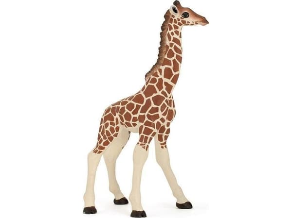 Papo Giraffe Calf, 3 år, Beige, Brun, PVC