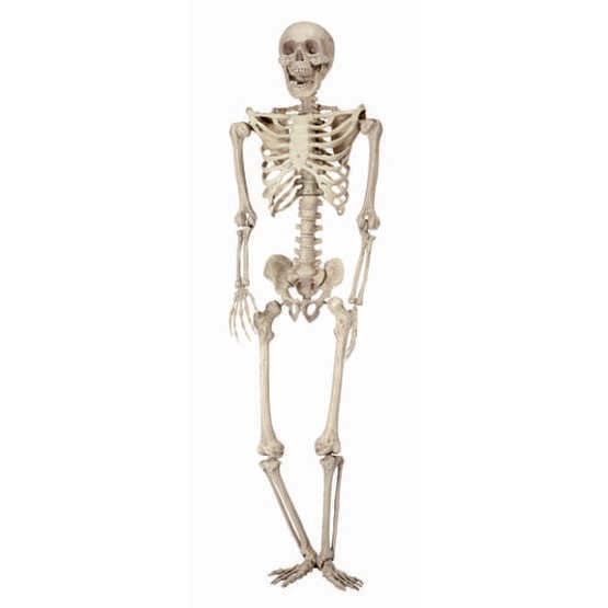 P Tit Clown - Deluxe Plastskelett