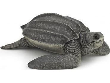 Papo figur av havslädersköldpadda