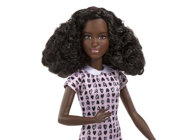 Barbie Mattel Karriärdocka - Husdjursfotograf (HCN10)