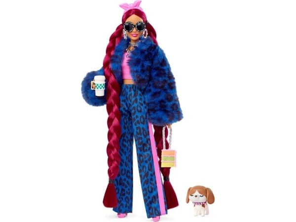 Barbie Extra Doll and Accessories