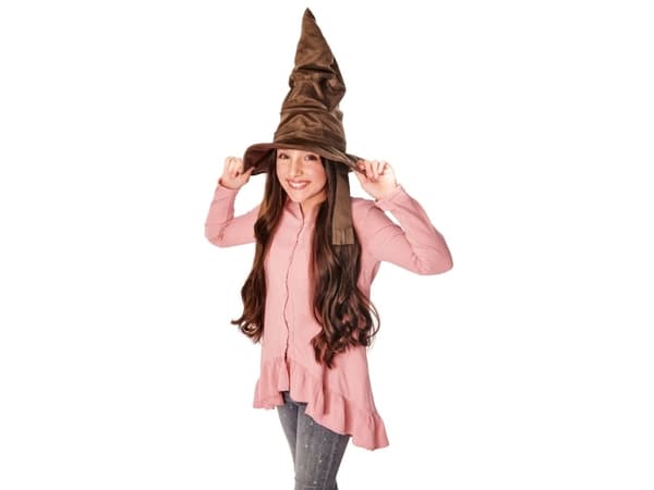 Harry Potter sorteringshatt i trollmannsverdenen