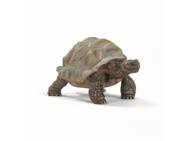 Figuuri Schleich figuuri jättiläiskilpikonna Wild Life