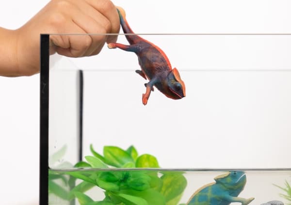 Schleich Chameleon