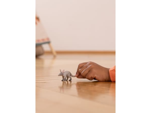 Schleich Aardvark