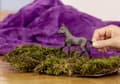 Miniatyrbilde 4 av 5: Schleich Paso peruansk føll