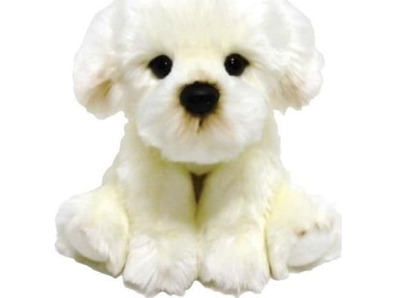 Hymyilevä Anek Pörröinen Fam piirakat Bichon 30cm