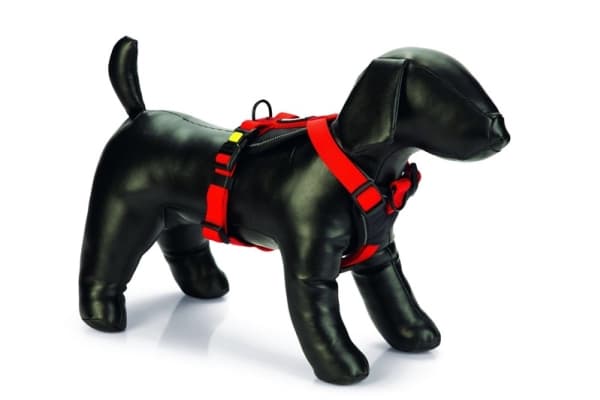 Beeztees Prem Y-Harness Parinca Red 38-48X20