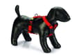 Miniatyrbilde 1 av 3: Beeztees Prem Y-Harness Parinca Red 60-76X25