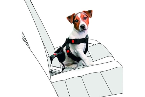 Sourcing CAR SAFETY HARNESS KARLIE 40-60CM BLACK