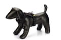 Miniatyrbilde 1 av 2: Beeztees Prem Y-Harness Parinca Blck 73-94X30