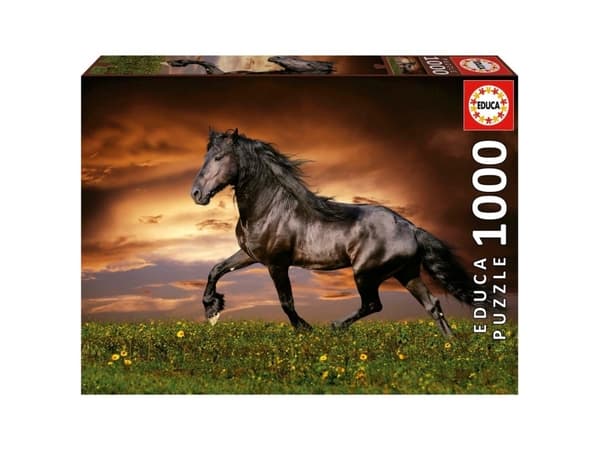 D-Toys Puzzle 1000 Kłusuj±cy koń