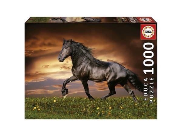 D-Toys Puzzle 1000 Kłusuj±cy koń