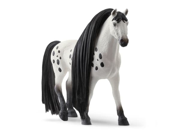 Schleich BH Knabstrupper Stallion