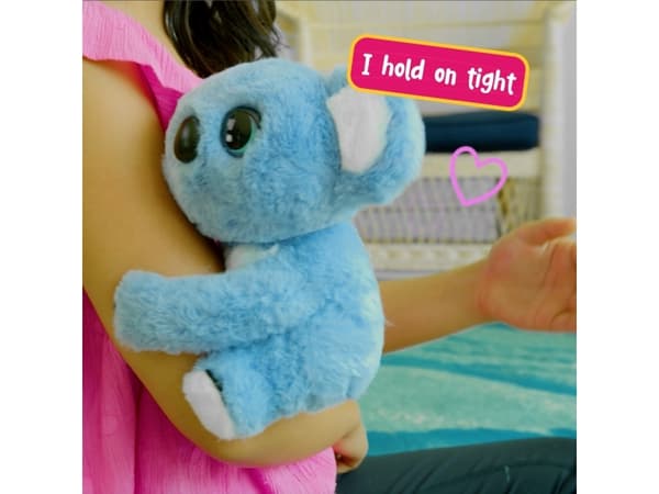 Sidney the Koala