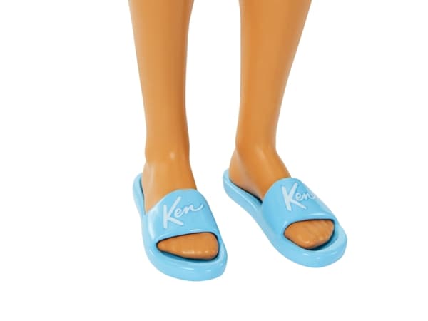 Barbie Classics Beach Day Ken