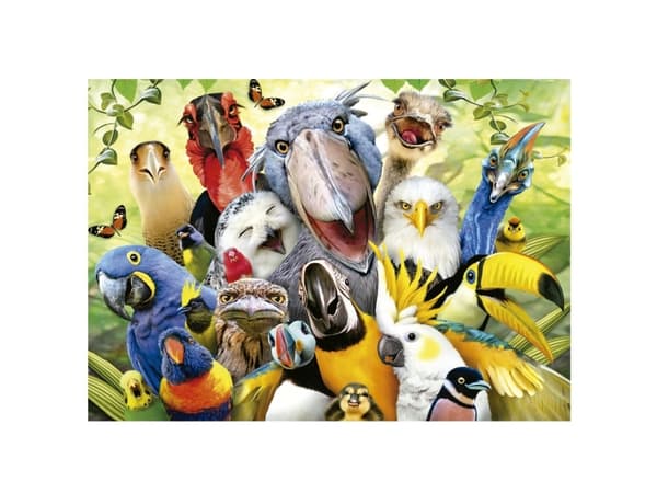 Educa 500 Watch The Birdie