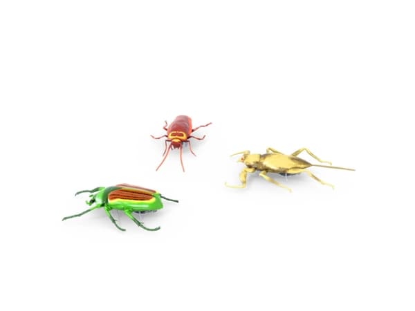 Hexbug Nano Real Bugs 3 pack Asst.