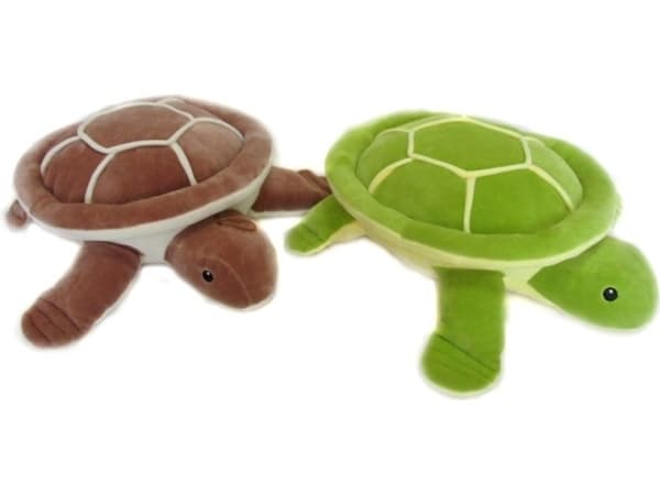 Sandy Turtle (C4016)