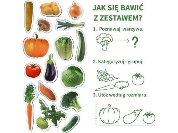 Maksik Kasvismagneetit MV 6032-12