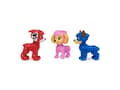 Miniatyrbild 3 av 5: PAW Patrol PAW FIG Pup Squad Fig GP PPTMM VCHX GML, 3 år, tassrunda, mångfärgad