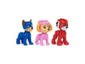 Miniatyrbild 1 av 5: PAW Patrol PAW FIG Pup Squad Fig GP PPTMM VCHX GML, 3 år, tassrunda, mångfärgad