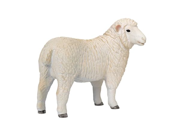 Mojo Romney Sheep (Ewe)