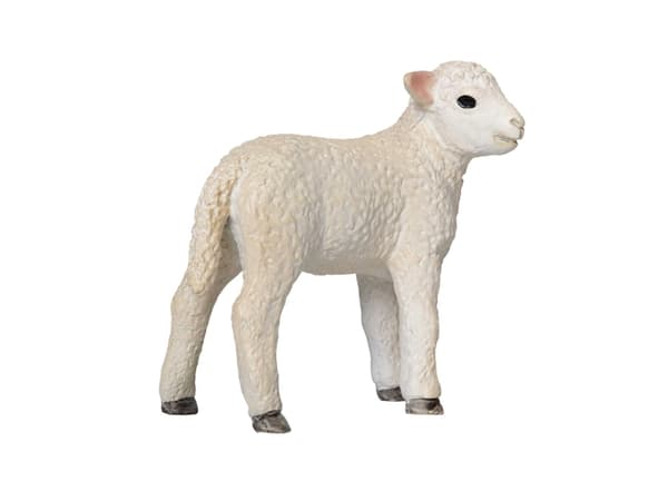 Mojo Romney Lamb Standing