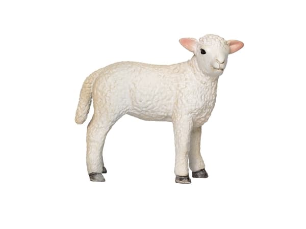 Mojo Romney Lamb Standing