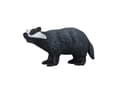 Miniatyrbild 1 av 4: Mojo Badger