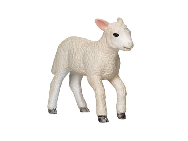 Mojo Romney Lammlöpning