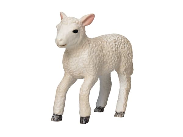 Mojo Romney Lammlöpning