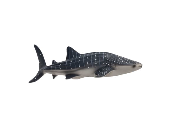 Mojo Whale Shark