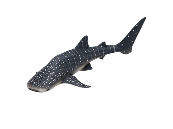 Mojo Whale Shark