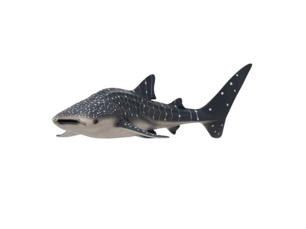 Mojo Whale Shark