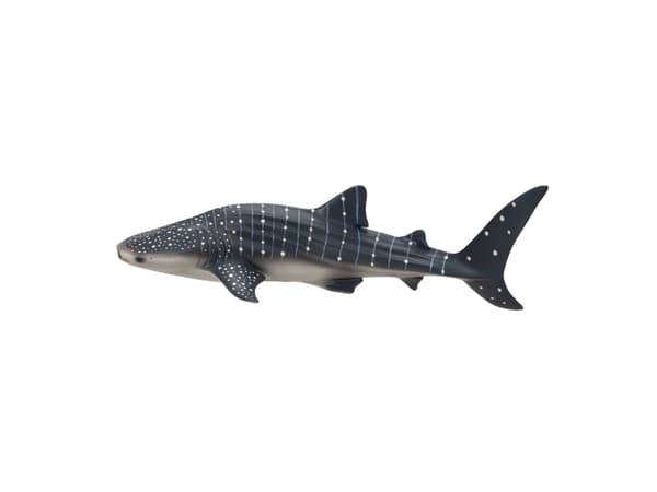 Mojo Whale Shark