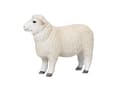 Miniatyrbild 1 av 4: Mojo Romney Sheep (Ram)