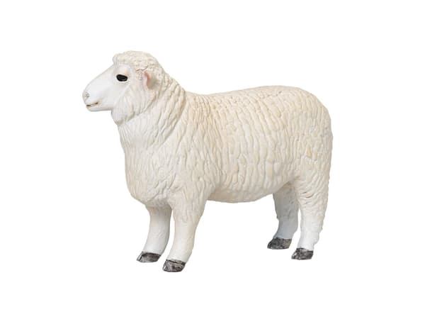 Mojo Romney Sheep (Ram)
