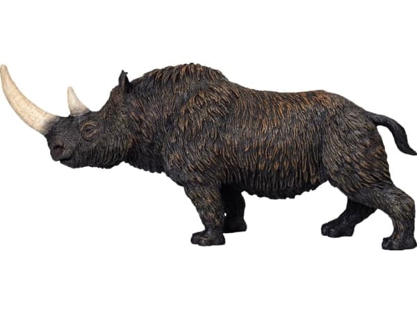 Mojo Woolly Rhino