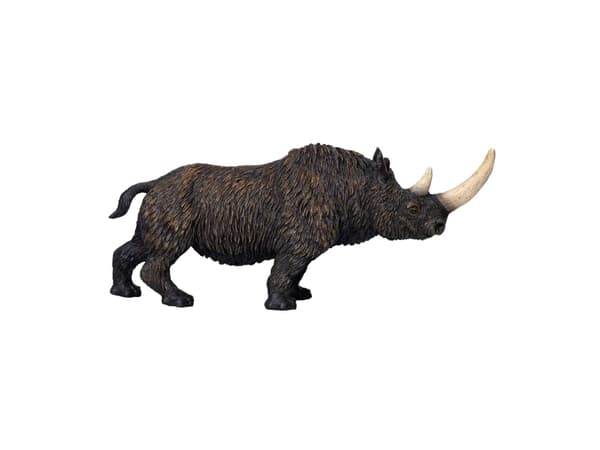 Mojo Woolly Rhino