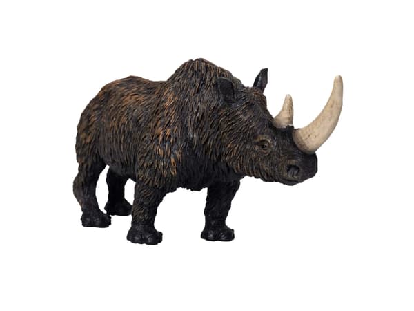 Mojo Woolly Rhino
