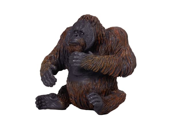 Mojo Orangutang