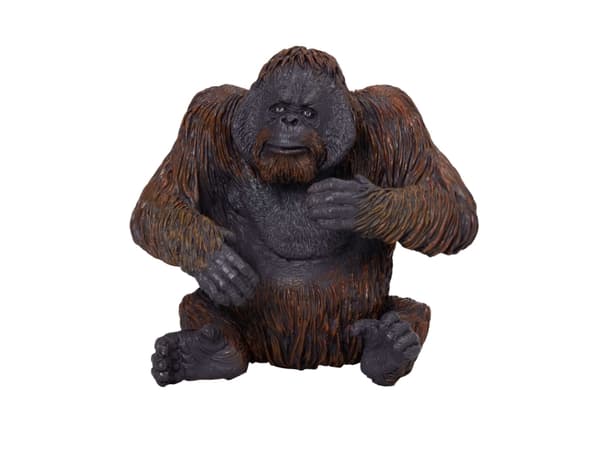 Mojo Orangutang