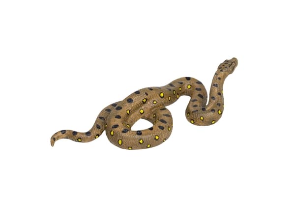 Mojo Green Anaconda