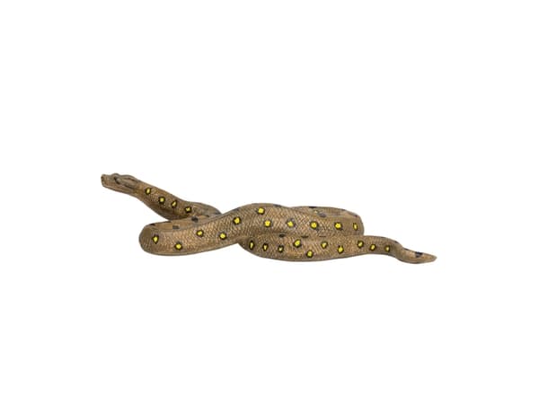 Mojo Green Anaconda